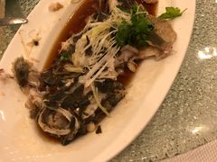 -新加坡海鲜共和(名胜世界圣淘沙海滨坊)