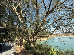 -孔雀湖生态旅游区