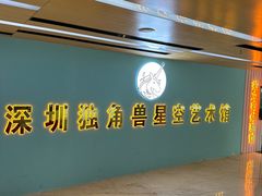 -深圳独角兽星空艺术馆