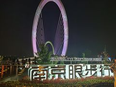 -南京眼步行桥
