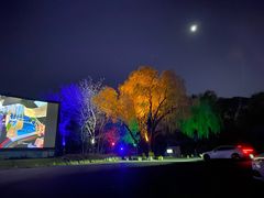-枫花园汽车电影院(朝阳公园店)