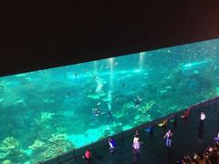 -成都浩海立方海洋公园