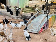 -鄂尔多斯野生动物园