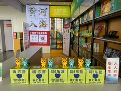 -东营胜利机场