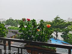 -顺德了能馆(虎门店)