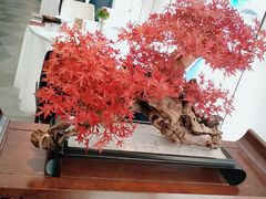 -顺峰(农展馆店)
