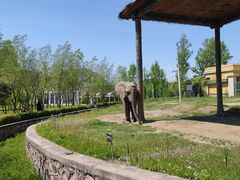 -哈尔滨北方森林动物园