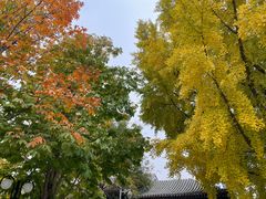 -北京石刻艺术博物馆(五塔寺)