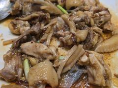 -佛山顺德香云纱园林酒店(清晖园店)
