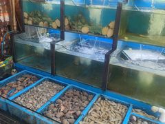 水产区-老东镇啤酒屋海鲜加工·蒸汽海鲜·海鲜烧烤(台东店)