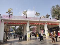 -昆明动物园