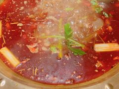 -红辣椒·川菜·火锅(科华路店)