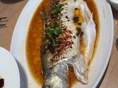-连鹭海鲜·海肠捞饭·海胆饭(星海店)