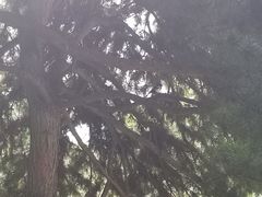 -钓鱼台国宾馆