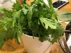 茼蒿-喇喇排骨火锅·传统韩式脊骨汤(望京西园总店)