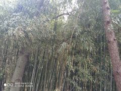 -北京植物园南门售票处