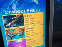 -烟台海昌鲸鲨海洋公园