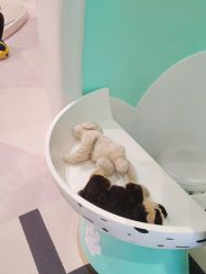 -奈尔宝·儿童乐园·亲子餐厅(苏州大悦城店)