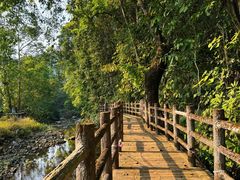 -广州市石门国家森林公园