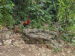 -高荡千年布依古寨旅游景区