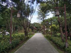 -顺峰山公园