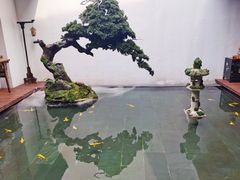 -觀芷隐轩