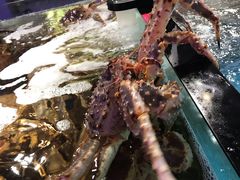 -蟹之国·精品蟹料理(极地店)