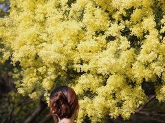 -厦门国家会计学院