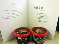 -新加坡航空公司(ION)