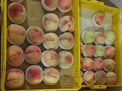 -老袁家蜜桃农场·阳山水蜜桃