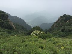 -白草畔自然风景区