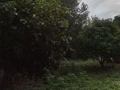 -苏州湾体育公园