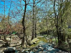 -玉渡山自然风景区