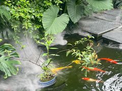 -漫笙舍Manse·咖啡·民宿