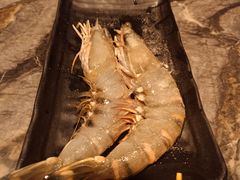 -熊出没日本烧肉放题