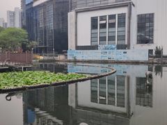 -苏州河梦清园环保主题公园