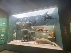 -国家自然博物馆