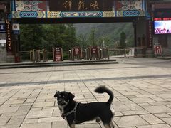 -神龙峡风景区