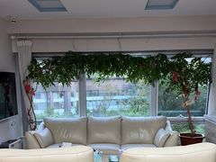 -精德口腔·种植修复·儿牙中心(财富中心店)
