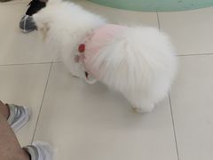 -怪兽屋·羊驼·猫咖·狗咖(俊华广场店)