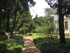 -叶家花园