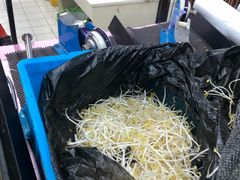 豆芽-河马鲜生超市