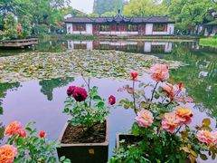 -郭庄景区