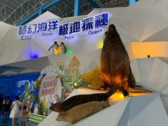 -泉城欧乐堡海洋极地世界