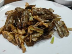 辣炒海蛏子-良师门滨海人家·海鲜·家常菜(滨海城店)