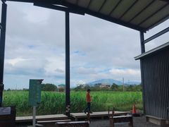 -鹿境梅花鹿生态园区