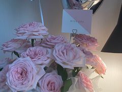 -F.Story 花和故事(新天地店)