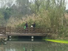 -桤木河湿地公园