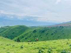 -新疆那拉提国家旅游度假区