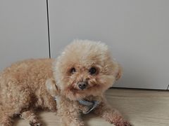 -爱妮康宠物医院·干细胞免疫细胞·肿瘤·心脏(张江店)